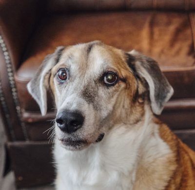 bisset-wolfganglehner_DSF0957 Ella