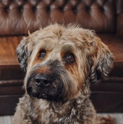 bisset-wolfganglehner_DSF0957 Finn